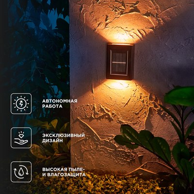 Светильник уличный Rexant 602-2416