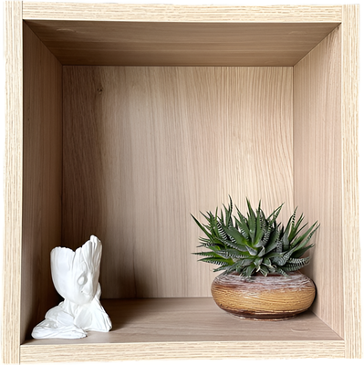 Полка ML Smart Group Свирь с задней стенкой 35x25x35 - фото