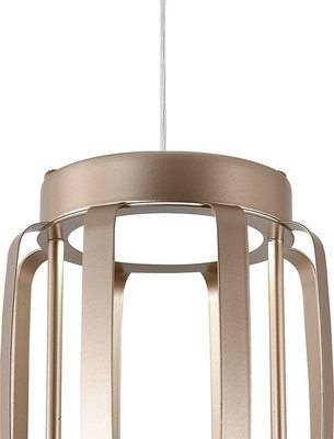 Потолочный светильник Indigo Light Capsula V000154L