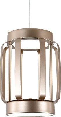 Потолочный светильник Indigo Light Capsula V000156L