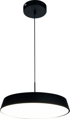 Потолочный светильник ESCADA 10301/1LED - фото