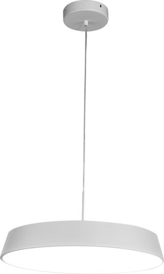 Потолочный светильник ESCADA 10301/1LED - фото