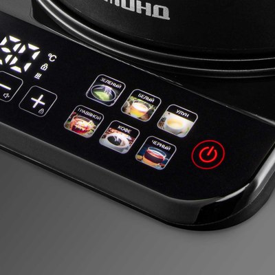 Электрочайник Redmond KG220 (черный/хром)