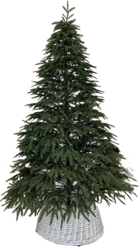 Ель искусственная Смерека Сказка / СМ-25СК - фото