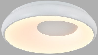 Потолочный светильник Indigo Light Cratere V000152L - фото