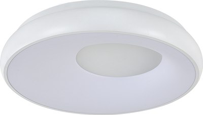 Потолочный светильник Indigo Light Cratere V000152L