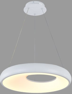 Потолочный светильник Indigo Light Cratere V000153L - фото