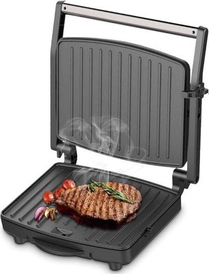 Электрогриль RAF R.559