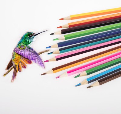 Набор цветных карандашей Brauberg Bicolour / 181855