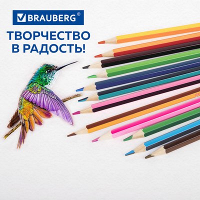 Набор цветных карандашей Brauberg Bicolour / 181855