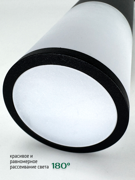 Светильник уличный Truenergy 26004