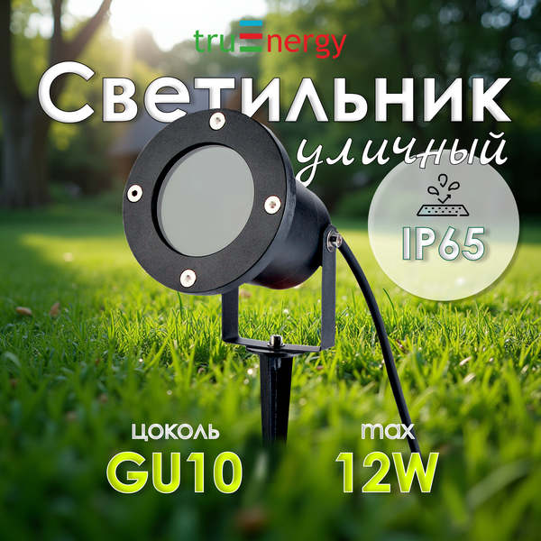 Светильник уличный Truenergy 26200