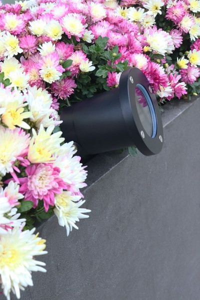 Светильник уличный Truenergy 26200