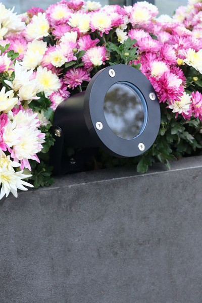 Светильник уличный Truenergy 26200