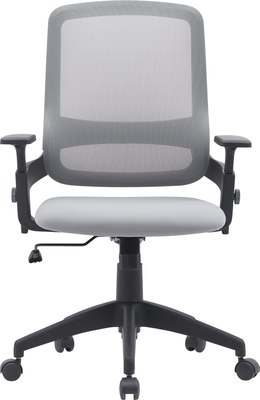 Кресло офисное Cactus CS-MC313-BKGY 