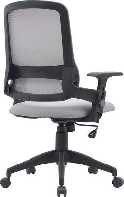 Кресло офисное Cactus CS-MC313-BKGY 