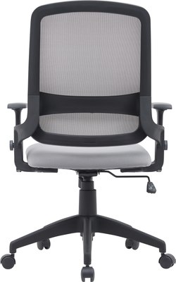 Кресло офисное Cactus CS-MC313-BKGY 