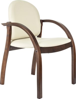 Стул офисный Бюрократ Джуно - фото