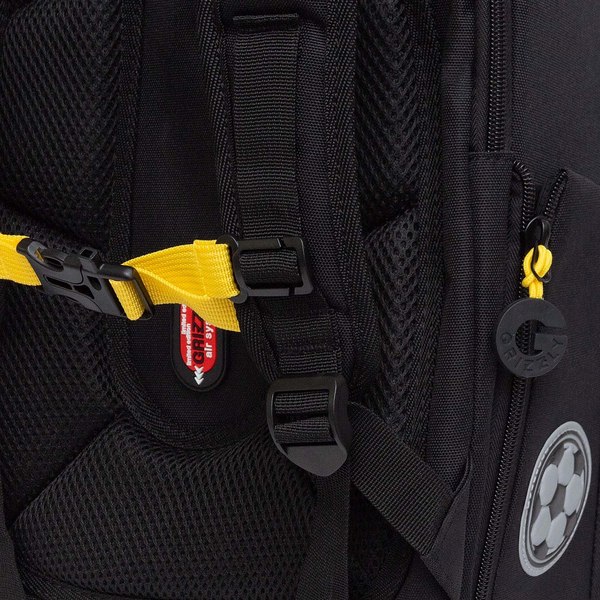 Школьный рюкзак Grizzly RAf-393-6