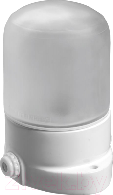 Светильник ЖКХ Банные Штучки 14501 - фото