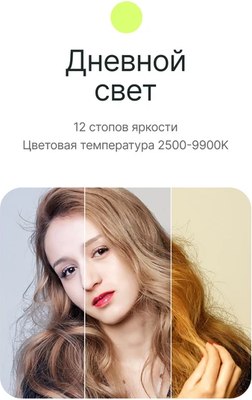 Осветитель студийный RayLab RL-LED09RGB