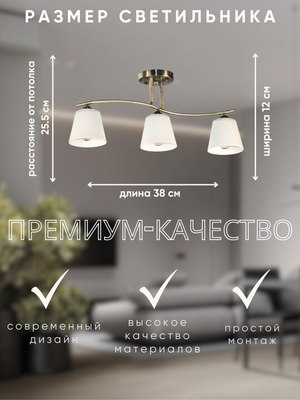 Люстра Aitin-Pro НПБ 02-3x60-101 / N6581/3