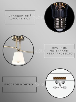 Люстра Aitin-Pro НПБ 02-3x60-101 / N6581/3