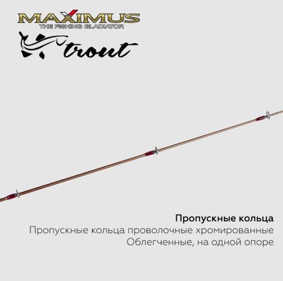 Удилище MAXIMUS Long Hand 382m Trout 0.95м 30гр / MIRLHT382M