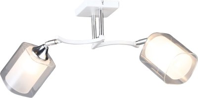 Спот Aitin-Pro НПБ 02-2x60-101 / N6403/2 - фото