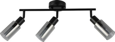 Спот ESCADA 10172/3A