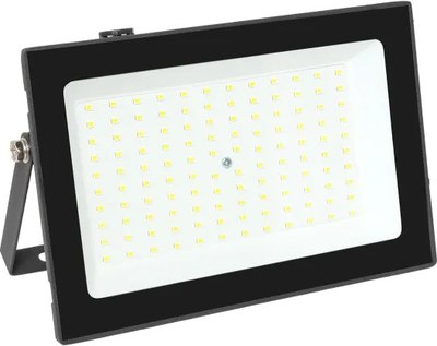 Прожектор EKF Basic СДО-3006 100Вт 6500К IP65 / FLL-3006-100-6500 - фото