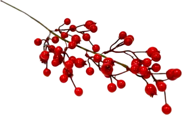 Ветка новогодняя Geliu sala Шиповника / 21LJ-153 - фото