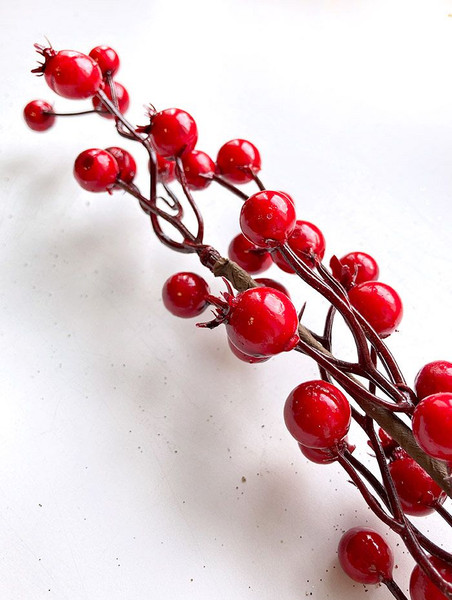 Ветка новогодняя Geliu sala Шиповника / 21LJ-153