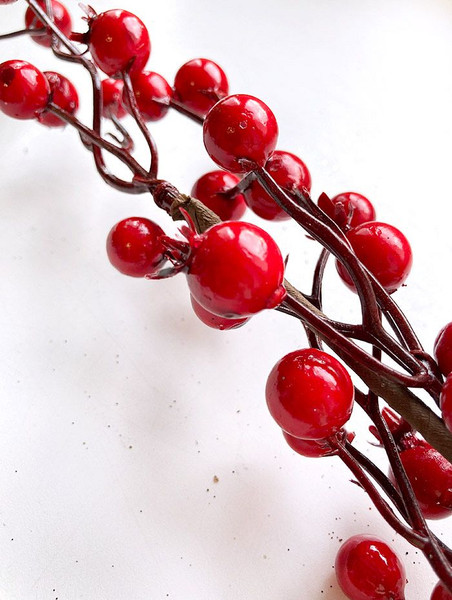 Ветка новогодняя Geliu sala Шиповника / 21LJ-153