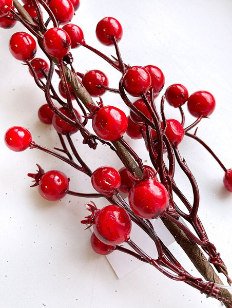 Ветка новогодняя Geliu sala Шиповника / 21LJ-153