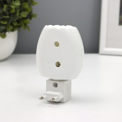 Ночник Risalux Тетушка сова / 10553439