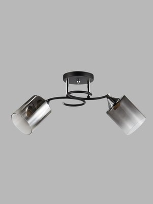 Потолочный светильник Aitin-Pro НПБ 02-2x60-101 / 5014/2