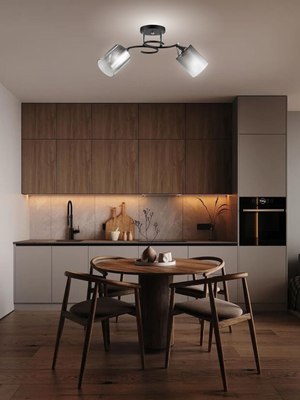 Потолочный светильник Aitin-Pro НПБ 02-2x60-101 / 5014/2