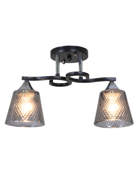 Потолочный светильник Aitin-Pro НПБ 02-2x60-101 / 6089/2 - фото