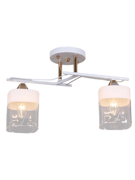 Потолочный светильник Aitin-Pro НПБ 02-2x60-101 / 6096/2 - фото