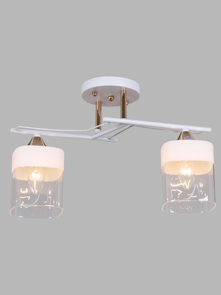 Потолочный светильник Aitin-Pro НПБ 02-2x60-101 / 6096/2