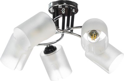 Потолочный светильник Aitin-Pro НПБ 02-5x60-101 / K2180/5 - фото