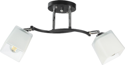 Спот Aitin-Pro НПБ 02-2x60-101 / N6106/2 - фото