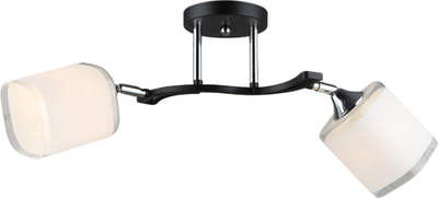 Спот Aitin-Pro НПБ 02-2x60-101 / N6108/2 - фото