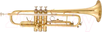 Труба Maxtone TTC-60/L-2 - фото