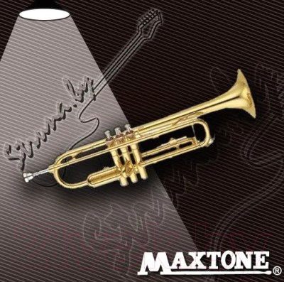 Труба Maxtone TTC-60/L-2