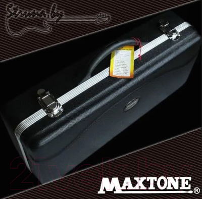 Труба Maxtone TTC-60/L-2