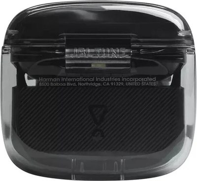 Беспроводные наушники JBL Tune Flex Ghost / JBLTFLEXGBLKCN
