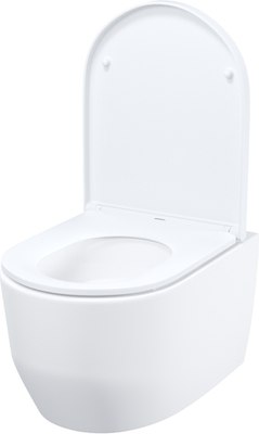 Унитаз подвесной IDDIS AIGRDSEi25