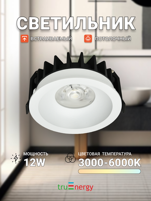 Точечный светильник Truenergy 10560